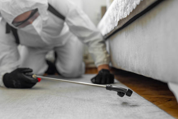 Professional Bed Bug Control technician working in Volcano Golf Course, HI