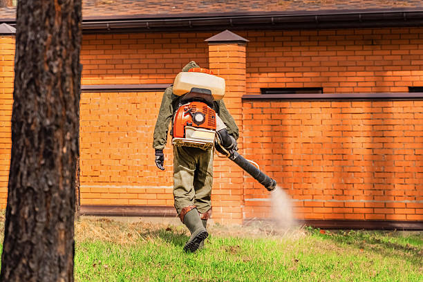 Trusted Ant Control service in Volcano Golf Course, HI - Nex Pest Control